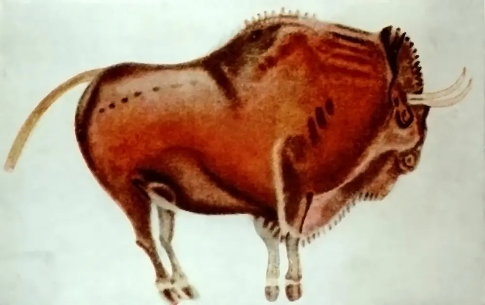 Bisonte_de_Altamira
