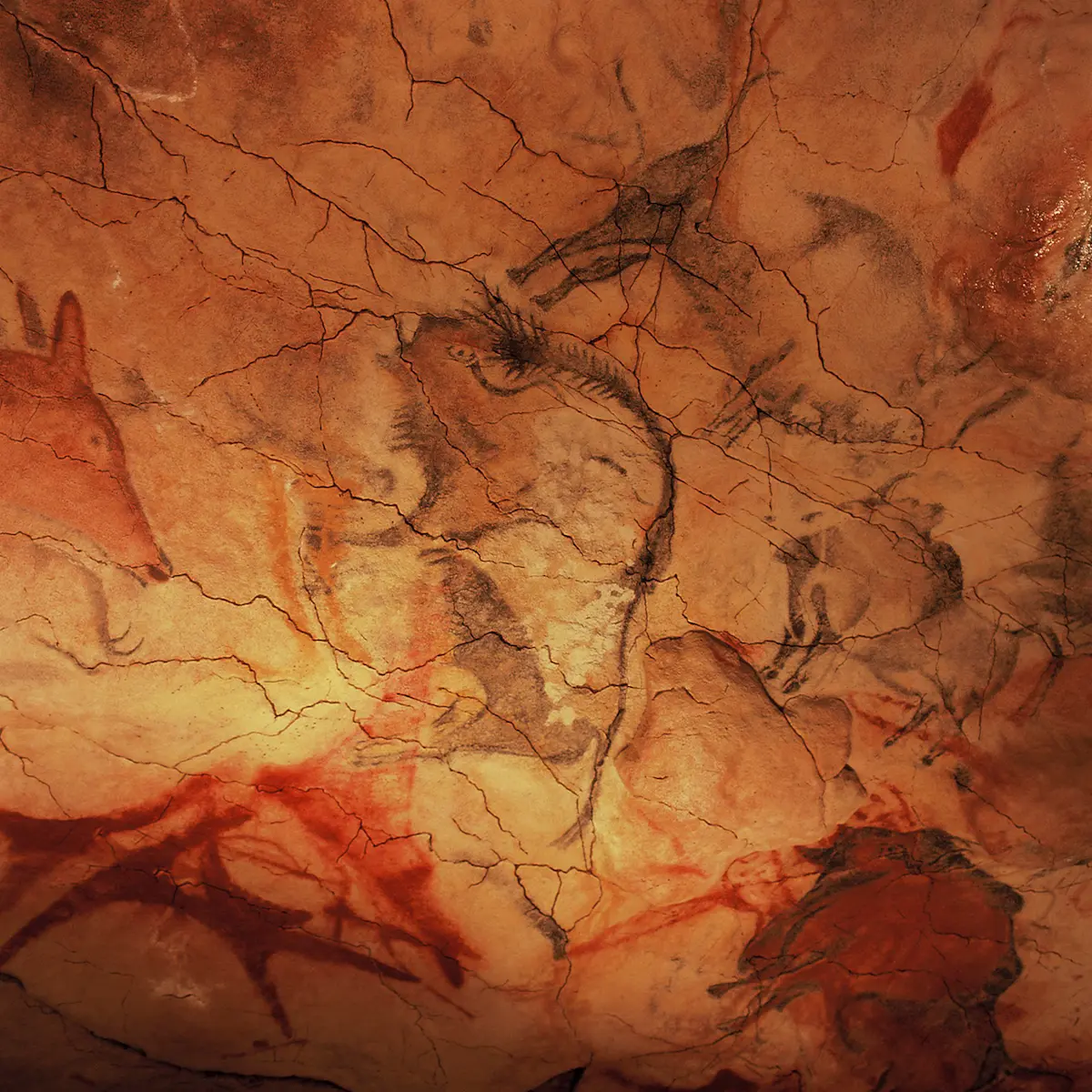 Cave_of_Altamira_and_Paleolithic_Cave_Art_of_Northern_Spain- Yvon Fruneau